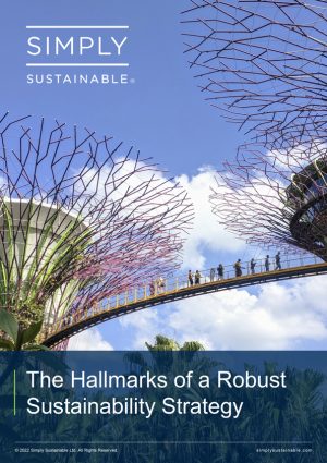 Simply Sustainable: Hallmarks of a Robust Sustainability Strategy