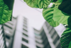 How to know if your environmental claims are up to standard