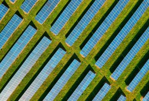 Delivering delivering sustainable transformational change