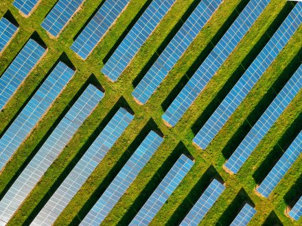 Delivering delivering sustainable transformational change