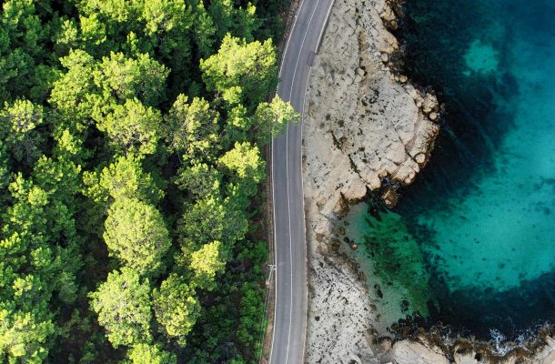 Forest, road and sea from above in bright, vivid greens and blues