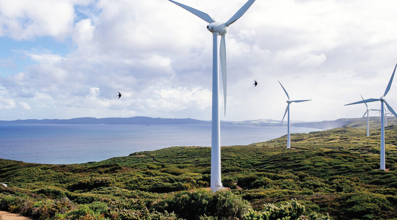 Simply Sustainable ESG and Sustainability Strategy Header. Wind turbines on the coast overlooking the sea with birds flying