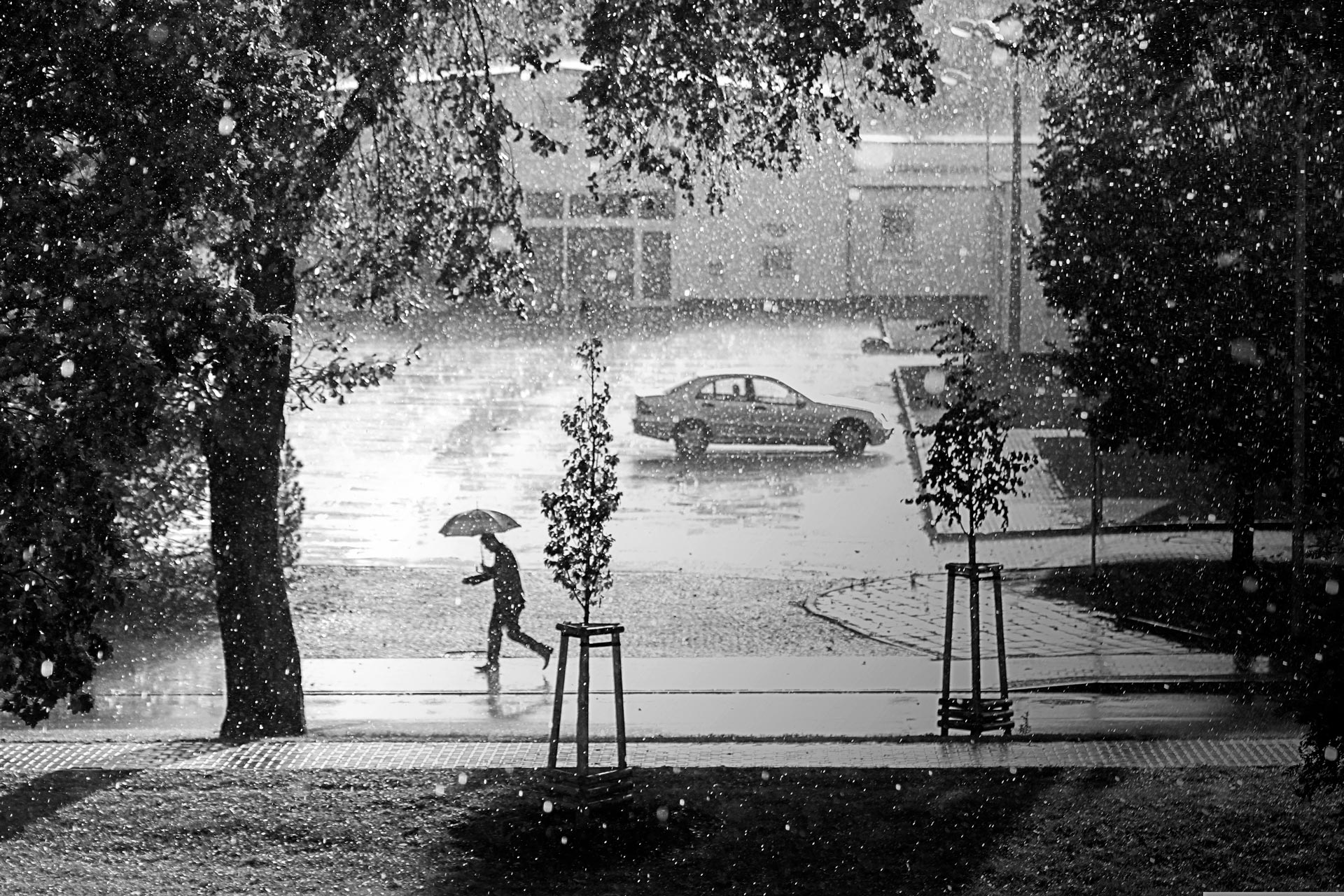 what-is-net-zero-and-why-it-is-important-simply-sustainable