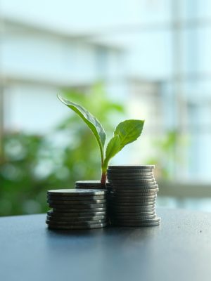 Green Finance